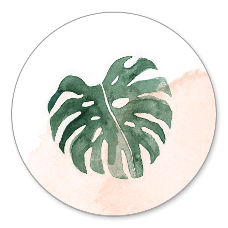 Sluitzegel botanisch blad 2